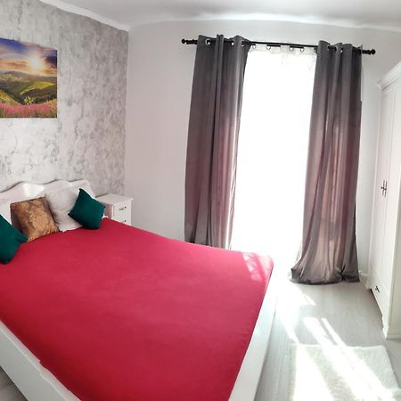 Apartament Gabriela Baia Mare Eksteriør billede