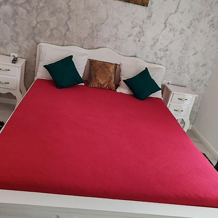 Apartament Gabriela Baia Mare Eksteriør billede